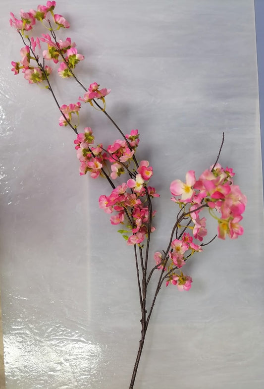 Flower P - Blossoms