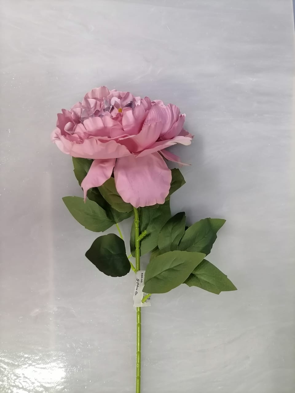 Flower P - Big dusk pink & red