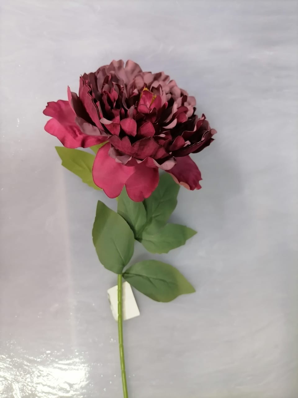 Flower P - Big dusk pink & red