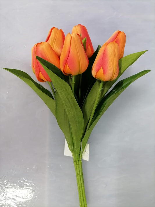 Flower P - Tulips