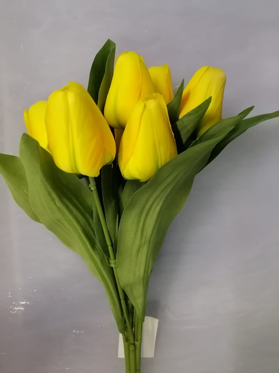 Flower P - Tulips